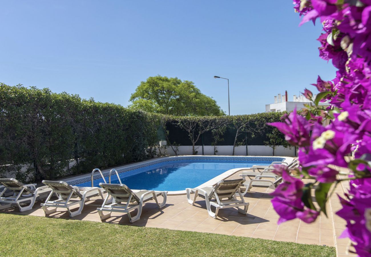 Villa en Albufeira - Villa Tulipa