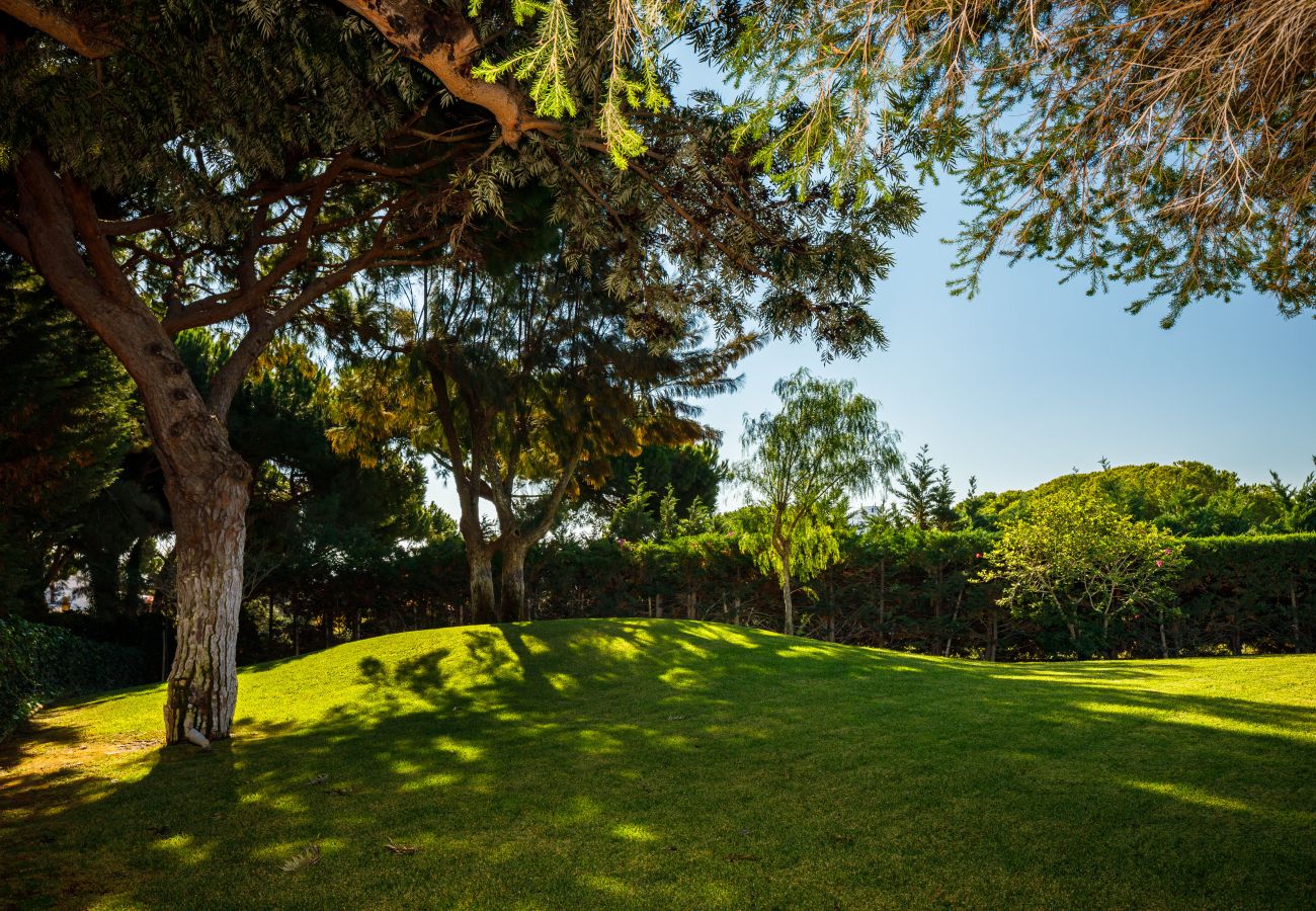 Villa en Albufeira - Villa Choo