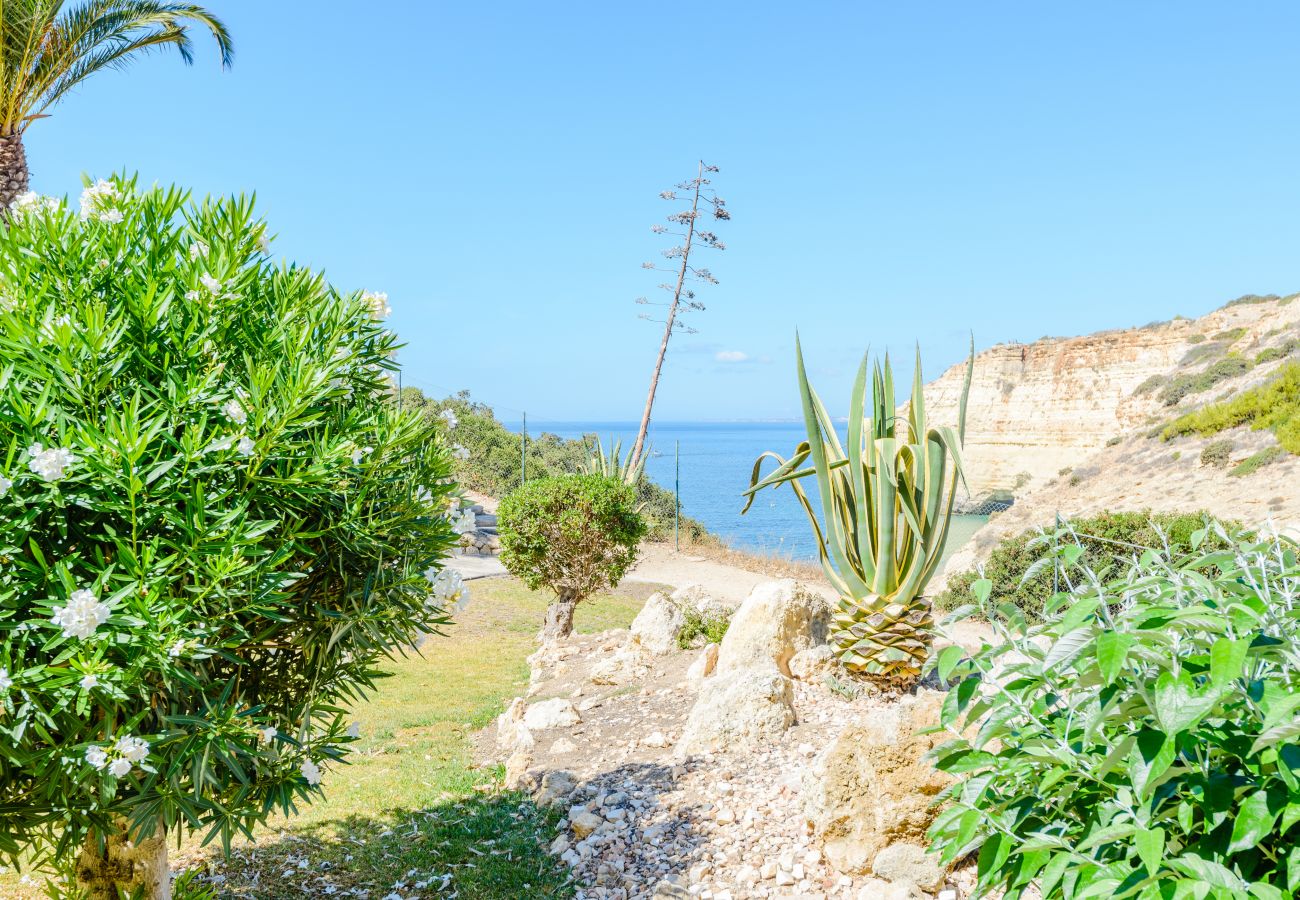 Apartment in Carvoeiro - The Little Paradise